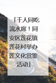 千人同吃流水席！同安区莲花镇莲花村举办莲文化赏鉴活动